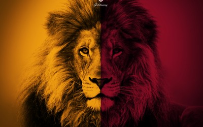 亿兆电竞动态-于帕梅卡诺失误导致出局